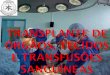 Transplante de órgãos e tecidos e transfusões sanguíneas