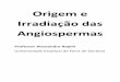 7871132 Origem e Radiacao Das Angiosperm as Alessandro Rapini 2003