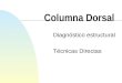 Columna Dorsal Diagnóstico estructural Técnicas Directas