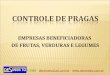 EMPRESAS BENEFICIADORAS DE FRUTAS, VERDURAS E LEGUMES 4727-2350 - desinseto@uol.com.br - @uol.com.br