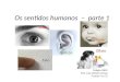 Visão Tato Audição Paladar Olfato Os sentidos humanos – parte 1 Colégio INEDI Prof. Luiz Antônio Tomaz Turmas 71 e 72