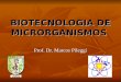 BIOTECNOLOGIA DE MICRORGANISMOS Prof. Dr. Marcos Pileggi