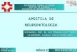 UNIVERSIDADE FEDERAL DO PARANÁ HOSPITAL DE CLÍNICAS DISCIPLINA DE ANATOMIA PATOLÓGICA APOSTILA DE NEUROPATOLOGIA RESPONSÁVEL: PROF. DR. LUIZ FERNANDO BLEGGI