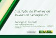 Inscrição de Viveiros de Mudas de Seringueira Rodrigo F. Curado Fiscal Federal Agropecuário Serviço de Fiscalização de Insumos Agrícolas – SEFIA/SFA-GO/MAPA