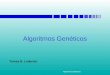 Algoritmos Gen©ticos Teresa B. Ludermir. Algoritmos Gen©ticos Contedo Introdu§£o O Algoritmo Gen©tico Binrio No§µes de Otimiza§£o O Algoritmo Gen©tico