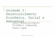 Paulo Tigre IE-UFRJ Unidade I: Desenvolvimento Econômico, Social e Ambiental Curso Desenvolvimento Econômico Comparado Paulo Tigre