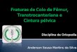 Disciplina de Ortopedia Anderson Sousa Martins da Silva