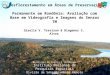 Giselle V. Trevisan & Diogenes S. Alves Desflorestamento em Áreas de Preservação Permanente em Rondônia: Avaliação com Base em Videografia e Imagens do