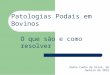 Pedro Cunha da Silva, de Janeiro de 2012 Patologias Podais em Bovinos O que são e como resolver