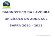 DIAGNÓSTICO DA LAVOURA ORIZÍCOLA DA ZONA SUL SAFRA 2010 - 2011 FONTE: Coordenadoria Regional Zona Sul