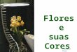 Flores e suas Cores Fabiana Pais. Cravos Nome Botânico: Dianthus Caryophyllus Origem:Península Ibérica e Ásia
