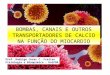 BOMBAS, CANAIS E OUTROS TRANSPORTADORES DE CALCIO NA FUNÇÃO DO MIOCARDIO Prof. Rodrigo Cesar C. Freitas Fisiologia e Bioquimica - UniFOA