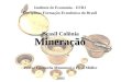Mineração Instituto de Economia - UFRJ Disciplina: Formação Econômica do Brasil Profs.: Leonarda Musumeci e Elisa Müller 2003 Brasil Colônia