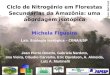Ciclo de Nitrogênio em Florestas Secundárias da Amazônia: uma abordagem isotópica Michela Figueira Lab. Ecologia Isotópica – CENA/USP Foto: Bart Kruijt
