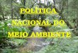 POLÍTICA NACIONAL DO MEIO AMBIENTE POLÍTICA NACIONAL DO MEIO AMBIENTE