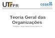 Teoria Geral das Organizações Professor: Jorge Carlos Correa Guerra, Dr