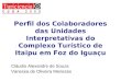 Perfil dos Colaboradores das Unidades Interpretativas do Complexo Turístico de Itaipu em Foz do Iguaçu Cláudio Alexandre de Souza Vanessa de Oliveira Menezes
