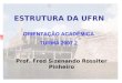 ESTRUTURA DA UFRN Prof. Fred Sizenando Rossiter Pinheiro ORIENTAÇÃO ACADÊMICA TURMA 2007.2