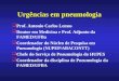 Urgências em pneumologia Prof. Antonio Carlos Lemos Doutor em Medicina e Prof. Adjunto da FAMED/UFBa Coordenador do Núcleo de Pesquisa em Pneumologia (NUPEP/ABACONTT)