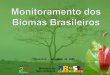 Brasília – setembro de 2009. Metodologia Mapa de Cobertura Vegetal do MMA/PROBIO 2002 como referência. Para todos os biomas: interpretação visual, identificação