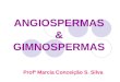 ANGIOSPERMAS & GIMNOSPERMAS Prof Marcia Concei§£o S. Silva