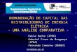 1 Katia Rocha (IPEA) Gabriel Fiuza de Bragança (IPEA) Fernando Camacho (BNDES) REMUNERAÇÃO DE CAPITAL DAS DISTRIBUIDORAS DE ENERGIA ELÉTRICA - UMA ANÁLISE