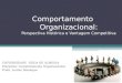 Comportamento Organizacional: Perspectiva Histórica e Vantagem Competitiva UNIVERSIDADE VEIGA DE ALMEIDA Disciplina: Comportamento Organizacional Profa