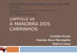 CAPÍTULO VII A MANOBRA DOS CARRINHOS Caroline Ponso Daniela Brun Menegotto Vanice Loose UNIVERSIDADE FEDERAL DO RIO GRANDE DO SUL SA: TOMADA DE CONSCIÊNCIA: