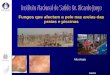 Fungos que afectam a pele nas areias das praias e piscinas Laura Rosado Micologia