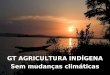 GT AGRICULTURA INDÍGENA Sem mudanças climáticas. Agricultura Indígena Regida pelos ciclos da chuva, da lua, do sol, do tempo; Existe um tempo de plantar