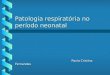 Patologia respiratória no período neonatal Paula Cristina Fernandes Paula Cristina Fernandes