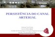 PERSISTÊNCIA DO CANAL ARTERIAL Suzanne Carri Farias R4 UTI PED-HBDF Unidade de Neonatologia do Hospital Regional da Asa Sul Brasília, 4 de dezembro de