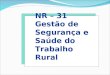 NR – 31 Gestão de Segurança e Saúde do Trabalho Rural