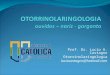 Prof. Dr. Lucio A. Castagno Otorrinolaringologia luciocastagno@hotmail.com