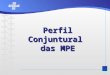 Perfil Conjuntural das MPE Perfil Conjuntural das MPE