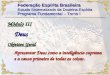 Federação Espírita Brasileira Estudo Sistematizado da Doutrina Espírita Programa Fundamental – Tomo I Módulo III Deus Apresentar Deus como a inteligência