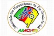 PROGR POLEMICA – MAIO 2005 Número de motociclistas mortos no Rio Grande do Sul aumenta 82%. Resultado da pesquisa interativa: 01 - Os motoristas - 9%