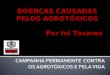 DOENÇAS CAUSADAS PELOS AGROTÓXICOS Por Ivi Tavares