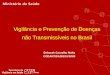 Vigilância e Prevenção de Doenças não Transmissíveis no Brasil Deborah Carvalho Malta CGDANT/DASIS/SVS/MS