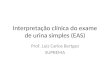 Interpretação clínica do exame de urina simples (EAS) Prof. Luiz Carlos Bertges SUPREMA