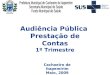 Audiência Pública Prestação de Contas 1º Trimestre Cachoeiro de Itapemirim Maio, 2009