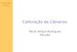 Computer Vision Calibração de Câmeras Paulo Sérgio Rodrigues PEL205