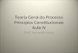 Teoria Geral do Processo Princípios Constitucionais Aula IV Prof. Fernando Veras