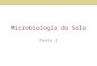Microbiologia do Solo Parte 2. Introdução (Fonte: Pelczar et al., 1993)
