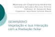 SEMINÁRIO Vegetação e sua Interação com a Radiação Solar Mestrado em Engenharia Ambiental Geomática Aplicada a Recursos Hídricos Professor: Dr. Alexandre