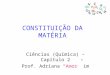 CONSTITUIÇÃO DA MATÉRIA Ciências (Química) – Capítulo 2 Prof. Adriana Amor im