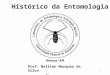 Prof. Neliton Marques da Silva e-mail:nmerinato@gmail.com 1 Histórico da Entomologia