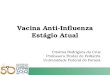 Vacina Anti-Influenza Estágio Atual Cristina Rodrigues da Cruz Professora Titular de Pediatria Universidade Federal do Paraná
