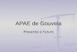 APAE de Gouveia Presente e Futuro. Apresentação A APAE de Gouveia é uma associação civil, filantrópica, de caráter assistencial, educacional, cultural