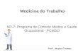 NR-7: Programa de Controle Médico e Saúde Ocupacional - PCMSO Profª.: Mayara Thomaz Medicina do Trabalho